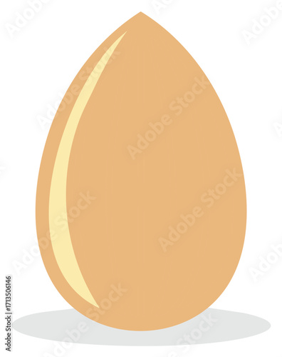 Illustration of an Almond Nut with Textural Details in its Kernel and Outer Shell