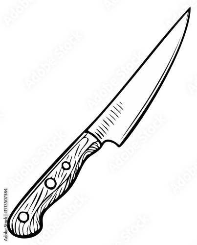 Sketch of a sharp paring knife with a wooden handle for food preparation and cooking
