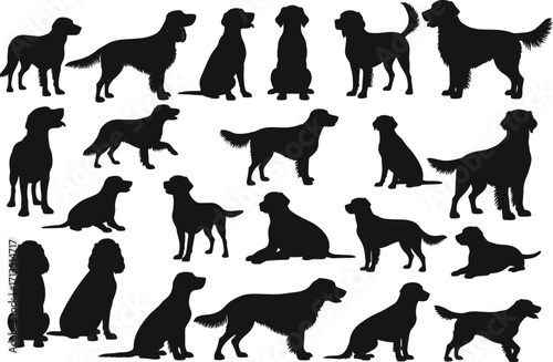 Dog breed silhouettes, black vector illustration, pet poses collection, sitting and standing dogs, walking posture, animal icon set, canine shape design