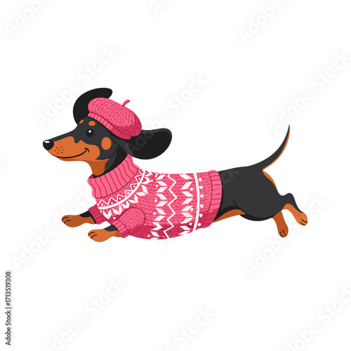 dachshund, cute dog, running dog, sausage dog, wiener dog, cartoon dachshund, dressed dog, dog in sweater, pink sweater dog, beret dog, joyful dog, funny dog, pet illustration, adorable dog, stylish d