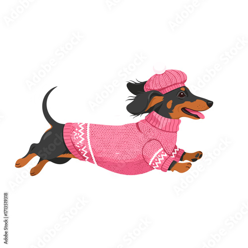 dachshund, cute dog, running dog, sausage dog, wiener dog, cartoon dachshund, dressed dog, dog in sweater, pink sweater dog, beret dog, joyful dog, funny dog, pet illustration, adorable dog, stylish d