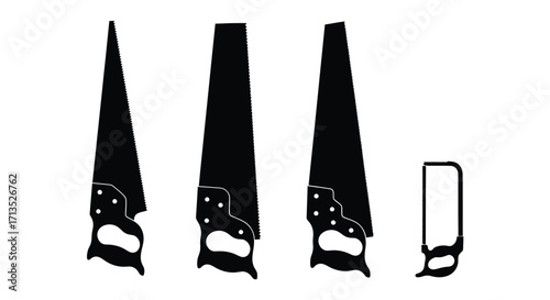 Close-up of three whiskers or hairs showing segmentation and root detail isolated vector