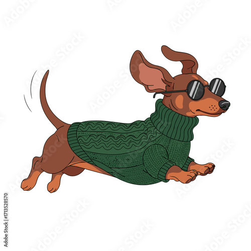 dachshund, cute dog, sausage dog, wiener dog, cartoon dachshund, running dog, playful dog, funny dog, dog in sweater, green sweater dog, stylish dog, cool dog, sunglasses dog, fashionable pet, adorabl