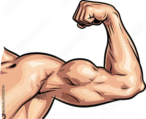 flexing biceps a powerful arms anatomy, isolated on transparent background
