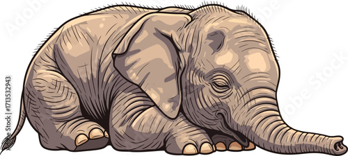 resting baby elephant gentle giants peaceful slumber, isolated on transparent background