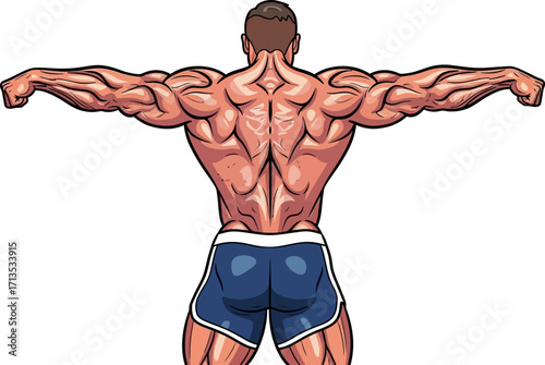 the bodybuilders rear view a symphony of strength and definition, isolated on transparent background