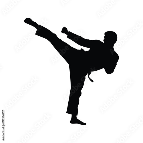 Silhouette of a martial artist performing a front kick with power and precision, martial artist performing high kick silhouette vector illustration