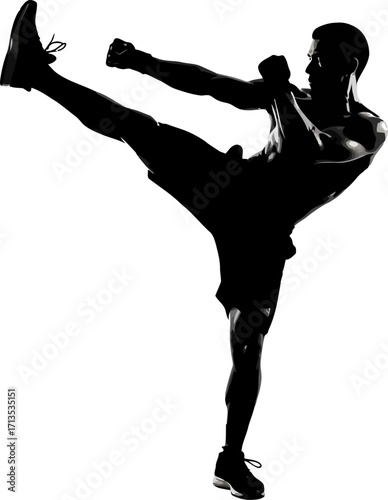 the silhouette of a high kick a dynamic martial arts pose, isolated on transparent background