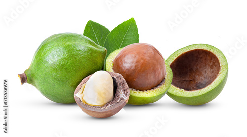 macadamia nuts with leaf isolated on transparent png (Image from camera)