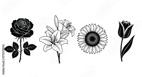 Collection of hand drawn floral outlines featuring rose lily sunflower and tulip blooms vector