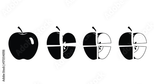 Four stages of apple representation from solid to cross-sectional art vector
