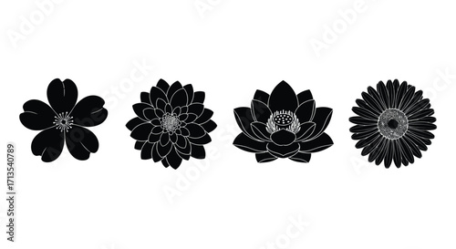 Collection of four black ink drawn flowers petal shapes and textures isolated graphic elements vector