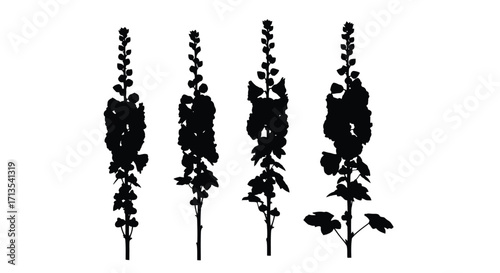 Botanical silhouette collection four tall delphinium flowers silhouette art vector