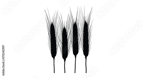 Four silhouetted wheat stalks with detailed grain heads against a plain background vector