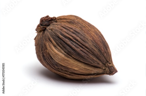 Wallpaper Mural Single, brown spice pod isolated against a white background. Subtle textures and varying hues suggest natural aging Torontodigital.ca