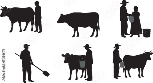 Silhouette of farmers milking cows, traditional dairy farming, agriculture workers with cattle, milk production process, rural livestock industry of farmers milking cows, , 