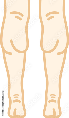 다리 근육