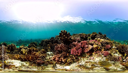 Fototapeta Naklejka Na Ścianę i Meble -  Underwater coral reef panorama (10)
