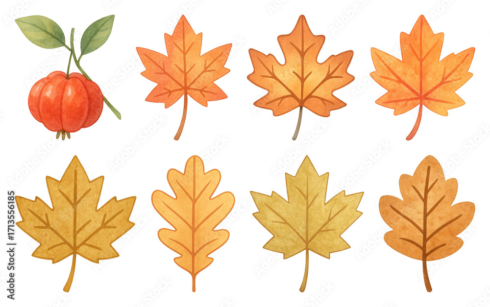 Fototapeta premium PNG Autumn leaves and pumpkin illustration, element set on transparent background