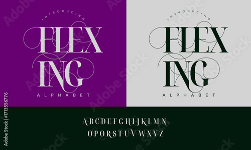 Luxury Flexing Alphabet Typeface with Stylish Decorative Swirls