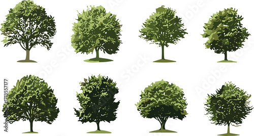 Collection of leafy green trees, natural forest design, ecology concept, landscape decoration, park illustration, cad drawing flat vector illustration
