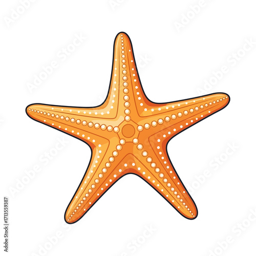 Vibrant Vector Starfish Illustration on White Background, Starfish Symbol