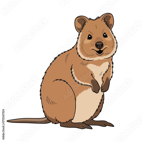 Adorable cartoon drawing of a happy Australian quokka standing with a friendly smile