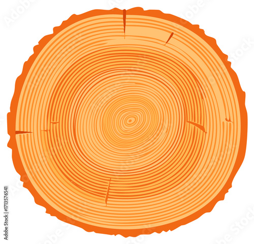 Tree ring cross section revealing circular patterns depicting the passage of time and growth in stylized illustration