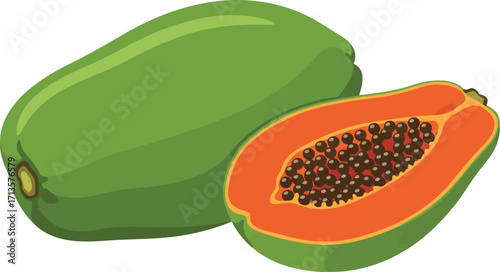 Fresh ripe green papaya tropical fruit food ingredient healthy eating vector