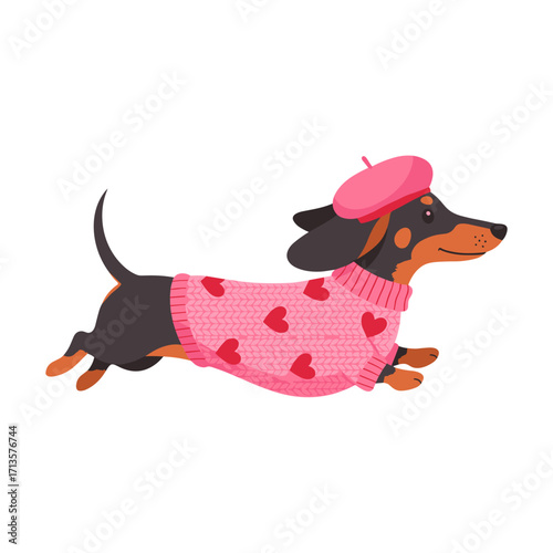dachshund, sausage dog, wiener dog, cute dog, cartoon dachshund, running dog, playful dog, pink sweater dog, heart sweater dog, beret dog, stylish dog, fashionable pet, joyful dog, adorable dog, cozy 