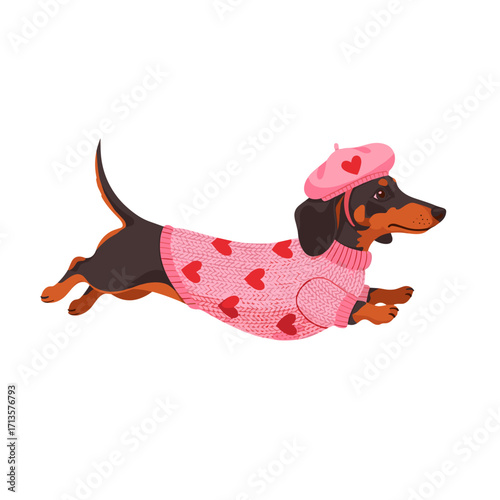 dachshund, sausage dog, wiener dog, cute dog, cartoon dachshund, running dog, playful dog, pink sweater dog, heart sweater dog, beret dog, stylish dog, fashionable pet, joyful dog, adorable dog, cozy 
