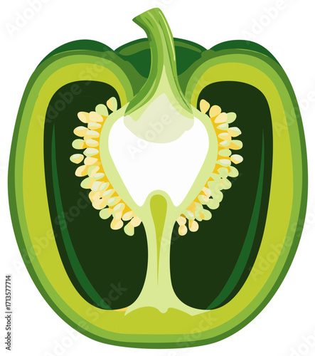 Halved Green Bell Pepper Close Up Showing Stem and Seeds Vegetable Graphic