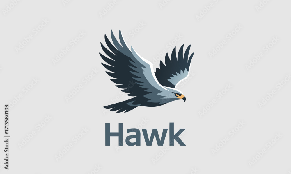Fototapeta premium Stylized Hawk in Flight with Text Hawk.
