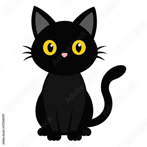 black and white cat