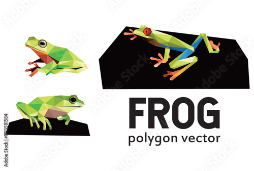 Cute Frog Vector Set in low poly polygonal.  Frog Icon in abstract logo. Vector abstract of Frog collection