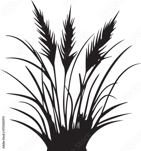 Agricultural wheat plant grass silhouette for nature farming vector artwork