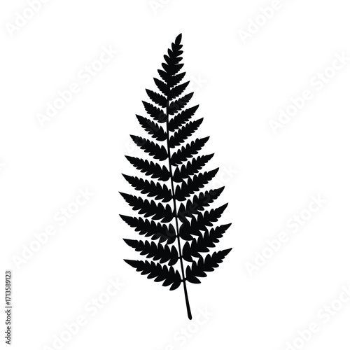 Minimalist black fern silhouette on white background