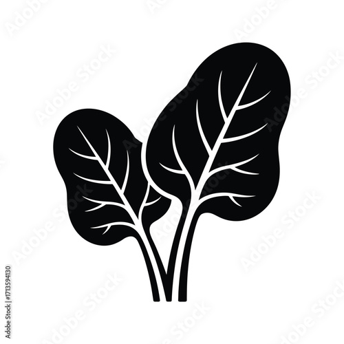 Stylized black and white illustration of two spinach leaves