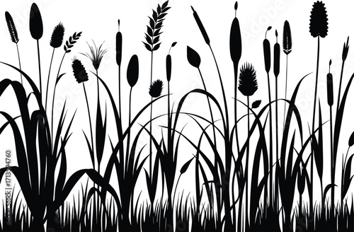 Silhouette of cattails and reeds in a field against white background