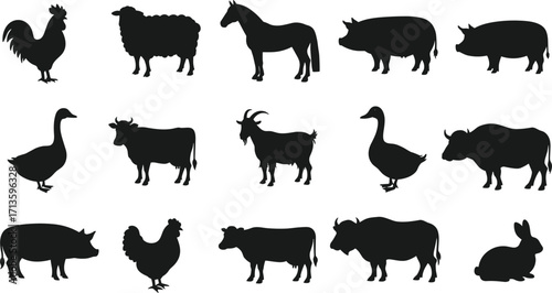 Farm animals silhouette set, cow goat sheep pig horse chicken goose duck rabbit, black vector illustration, livestock collection isolated