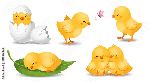 Adorable Yellow Chicks: Hatching, Playing, and Resting