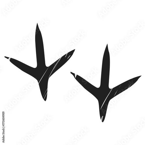 A cartoon illustration of a close up bird footprint isolated on a white background, perfect for wildlife, biology and nature design concepts