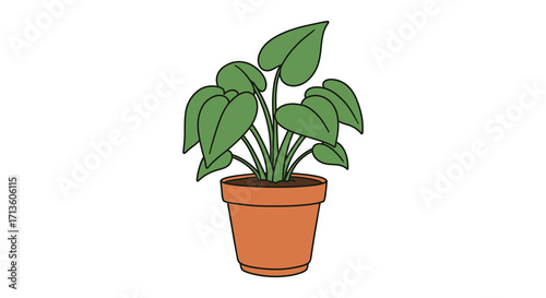 Simple cartoon illustration of a green monstera plant in a terracotta pot