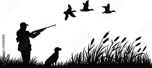Hunter aiming with shotgun at flying ducks, hunting dog waiting, outdoor marshland grass, duck hunting silhouette, wildlife hunting vector illustration
