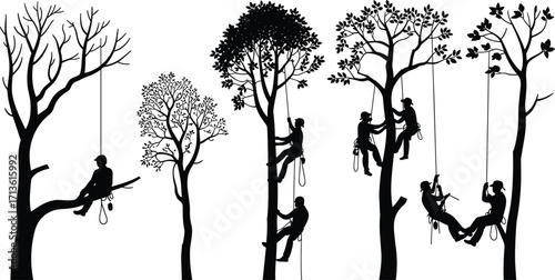 Tree climbing workers, arborist silhouettes, people on ropes, forest work illustration, men in trees, black vector design, safety climbing artwork