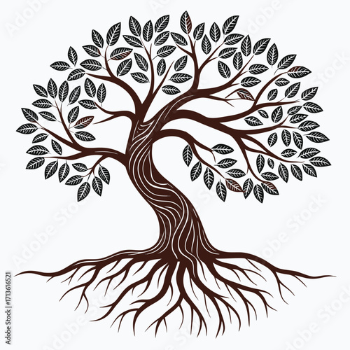Detailed Illustration of a Spreading Tree with Dark Leaves and Exposed Roots on White drawing