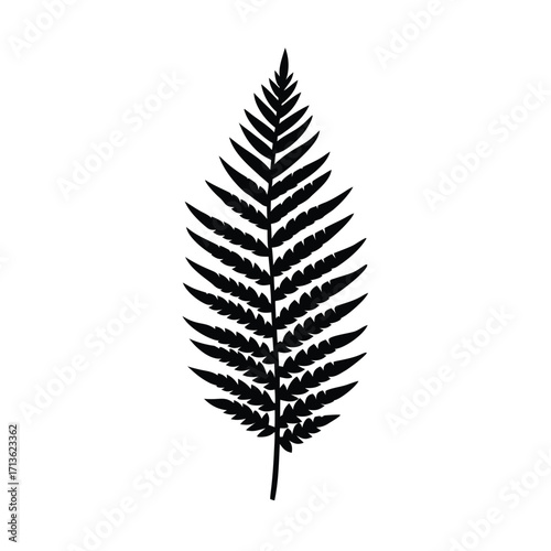 Elegant black fern silhouette on white minimalist background