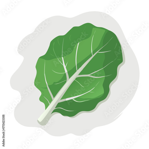 Green leafy vegetable illustration isolated on transparent background