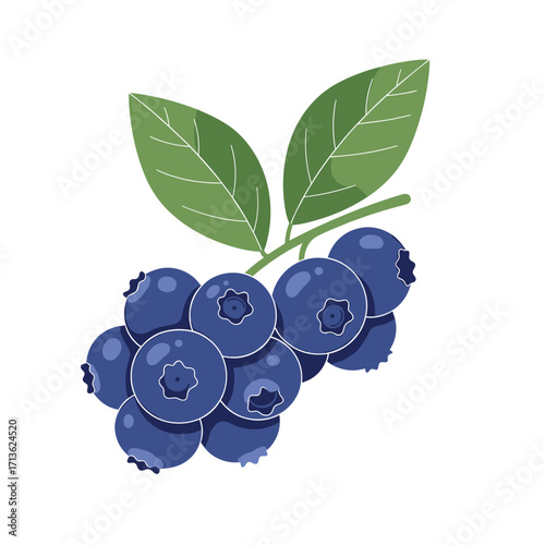 A healthy cluster of ripe blueberries on a stem with green leaves.