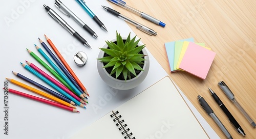 Office Supplies Notepad, Pens, Pencils, Succulent, and Stationery